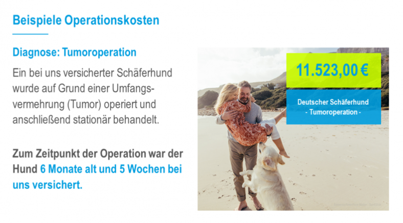Tier OP Versicherung Beispiel