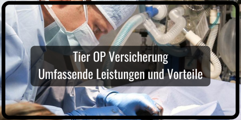 Tier OP Versicherung günstig abschließen